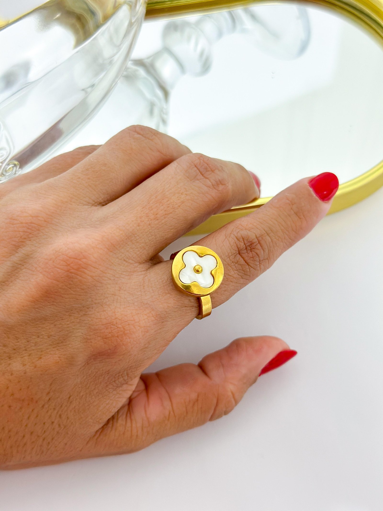 Anel Aço Inox Virginia Resinado 